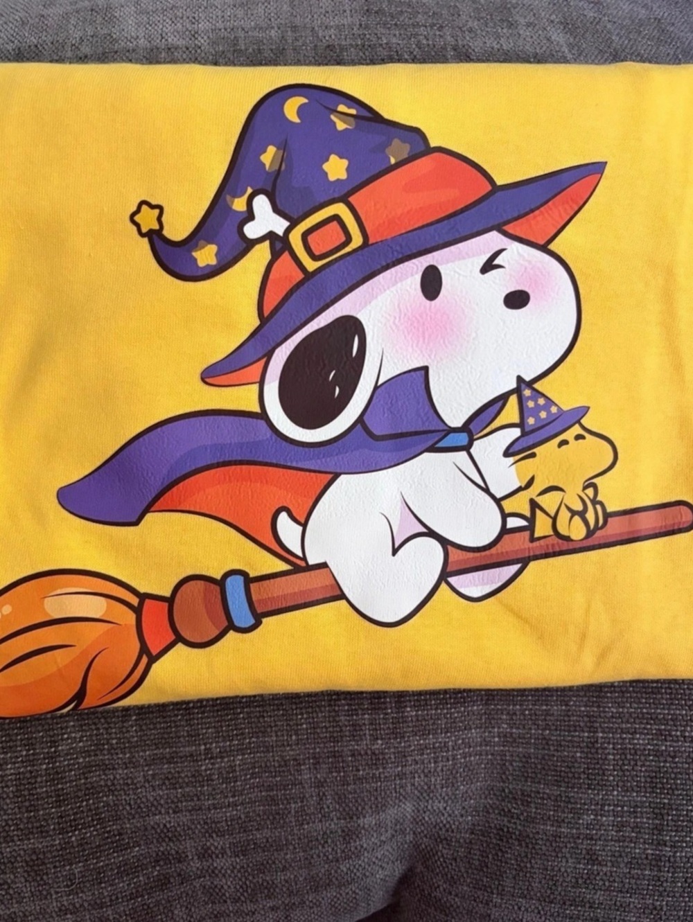 Peanuts Snoopy and Woodstock Halloween Witch Flight Graphic T-Shirt Tee